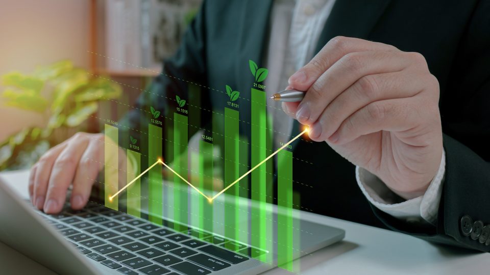 Nachhaltige Wachstumsziele