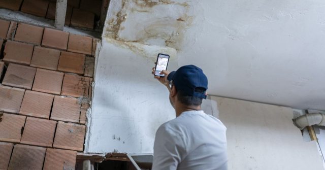 Schadenmanagement wird wichtiger (und digitaler)