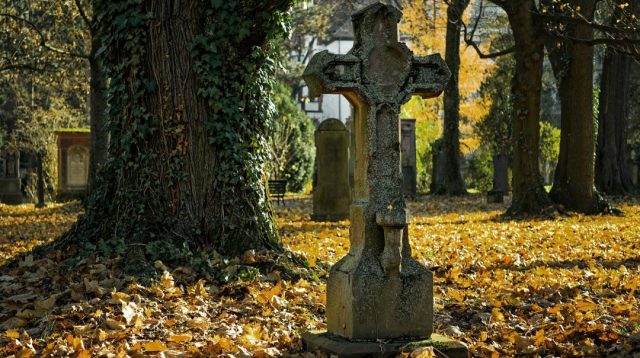 Grabstein in Kreuzform auf einem herbstlichen Friedhof mit großen Baumen und gelben Blättern, die den Boden bedecken.