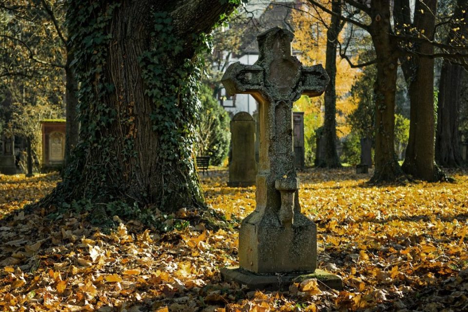 Grabstein in Kreuzform auf einem herbstlichen Friedhof mit großen Baumen und gelben Blättern, die den Boden bedecken.