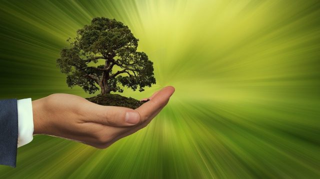 Wie nachhaltig sind deutsche Banken?